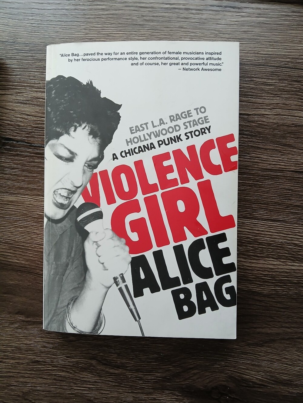 Violence Girl Alice Bag Book